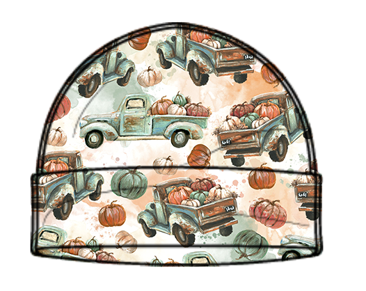 Patch Pickup beanie hat