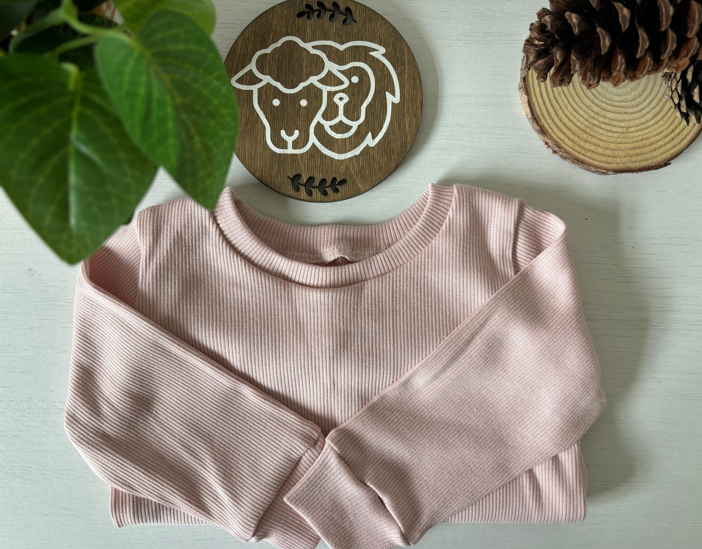 Dusty Pink Rib Knit Long Sleeve Top (6-9 Months)