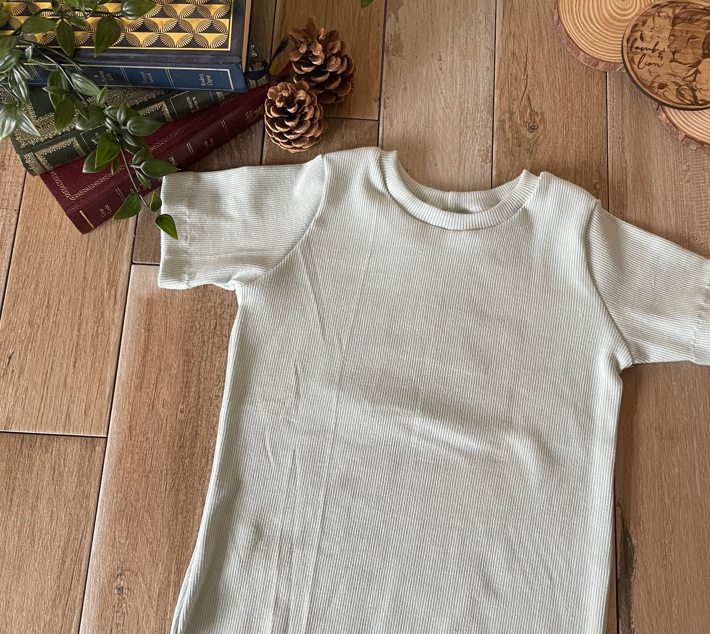 Mint Rib Knit T-Shirt (18-24 Months)