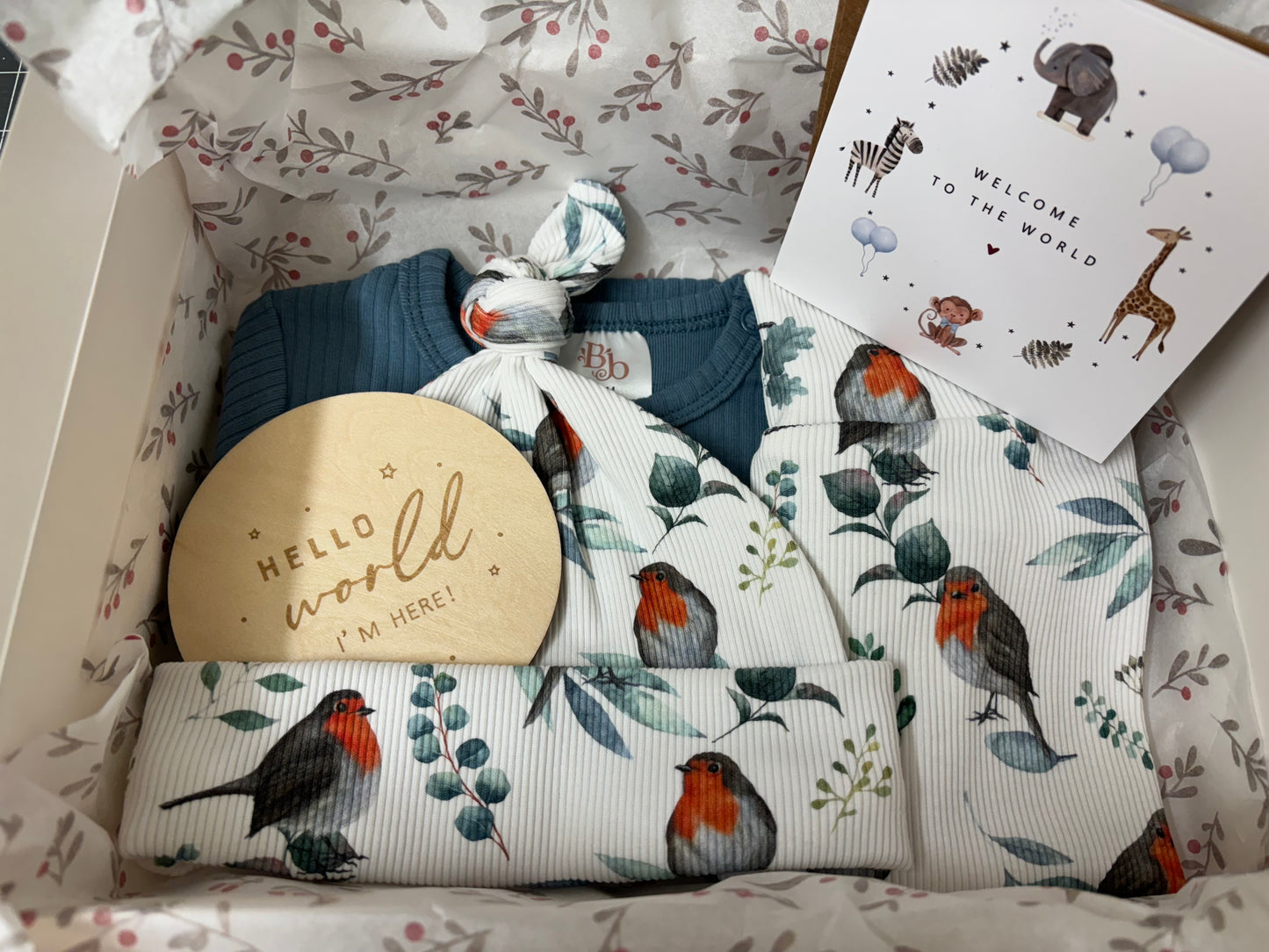 When Robins Appear Gift Box (0-3 Months - Gender Neutral)