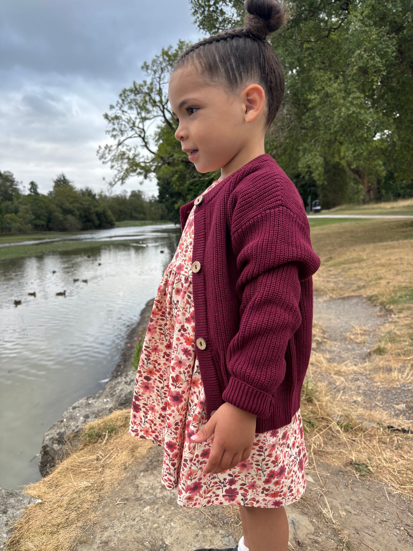 Mulberry Meadow Daisy Dress Pre-order