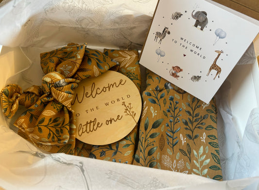 Meet-the-Baby Gift Box (0-3 Months - Girl)