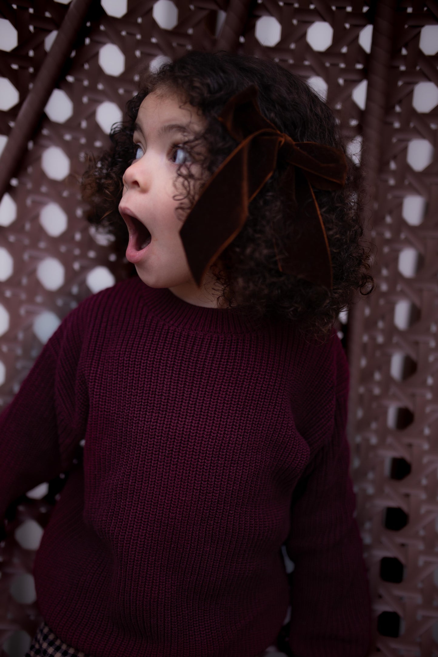 Plum Heirloom Knit Jumper