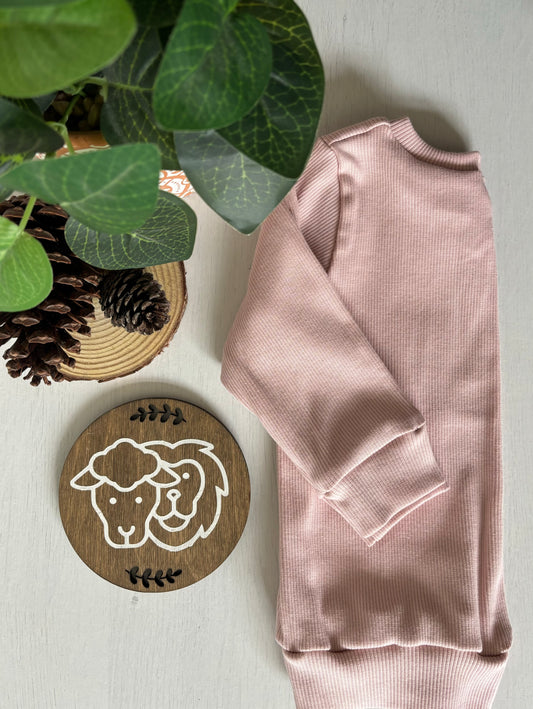 Dusty Pink Rib Knit Long Sleeve Top (6-9 Months)