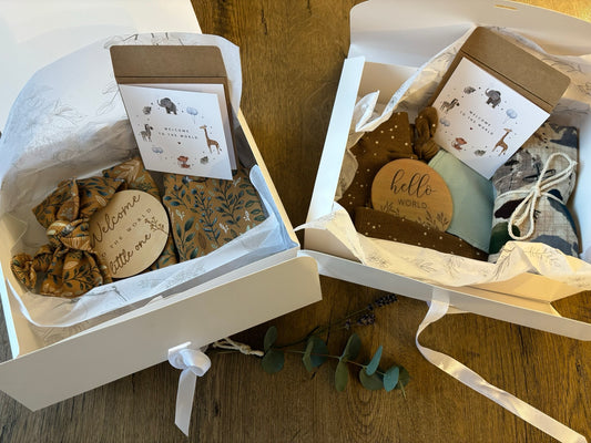 Meet-the-Baby Gift Box (0-3 Months - Boy)