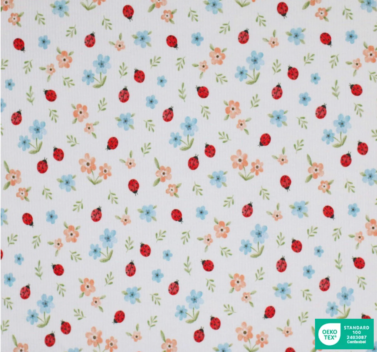Ladybird Shorts (ribbed)