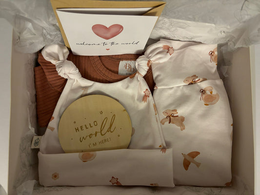 Tiny Treasures Gift Box (0-3 Months - Girl)