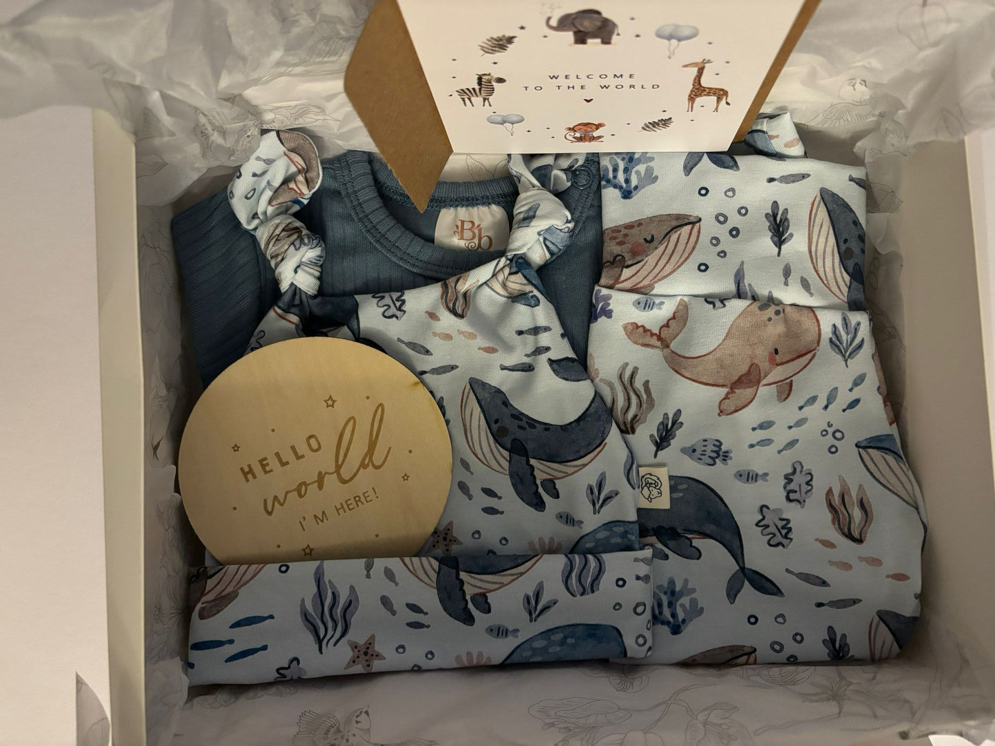 Whale of a time Gift Box (0-3 Months - Boy/Neutral)