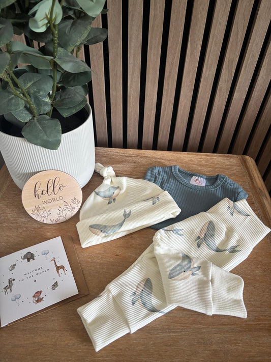 New Baby Gift Box - Boy